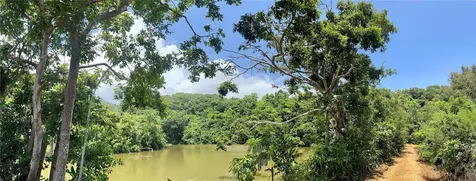 981 Ceiba PR 00735