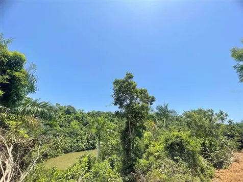 981 Ceiba PR 00735
