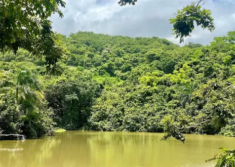981 Ceiba PR 00735