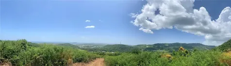 981 Ceiba PR 00735