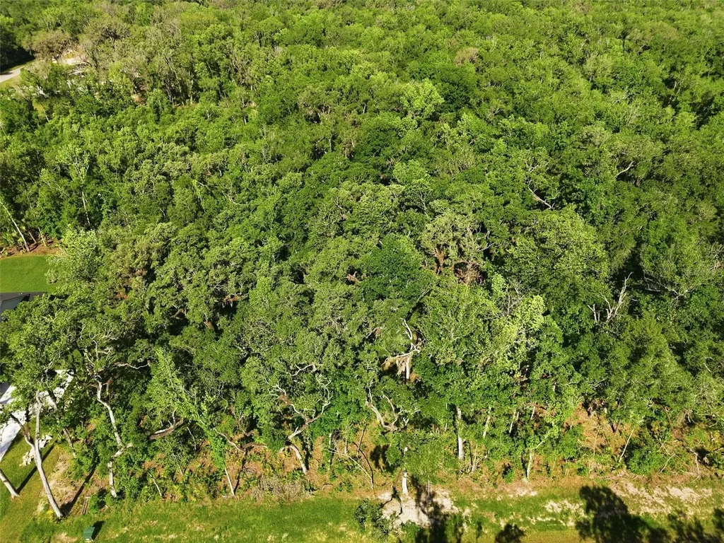 Republican (lot 2) Way Brooksville FL 34601