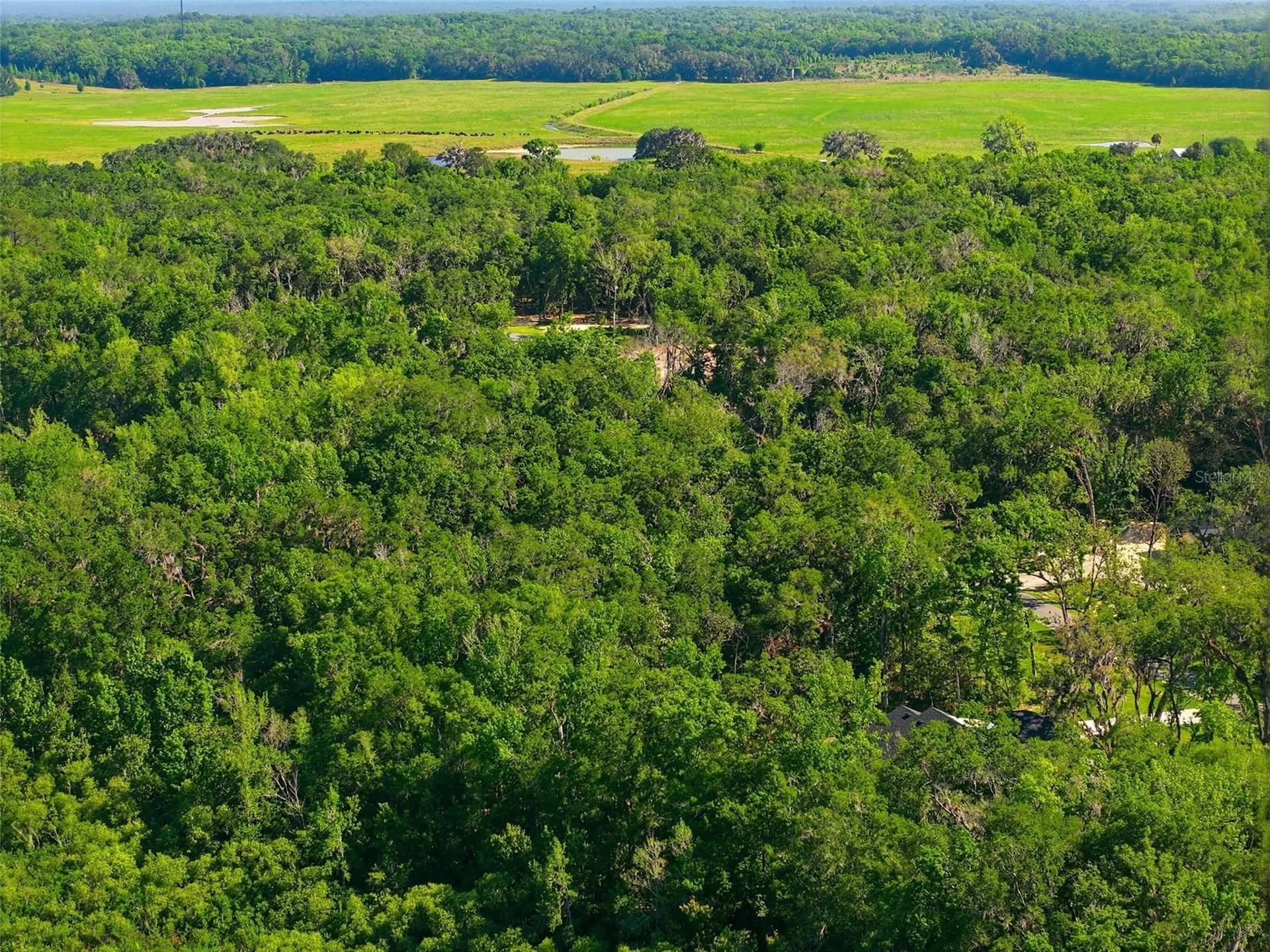 Republican (lot 2) Way Brooksville FL 34601