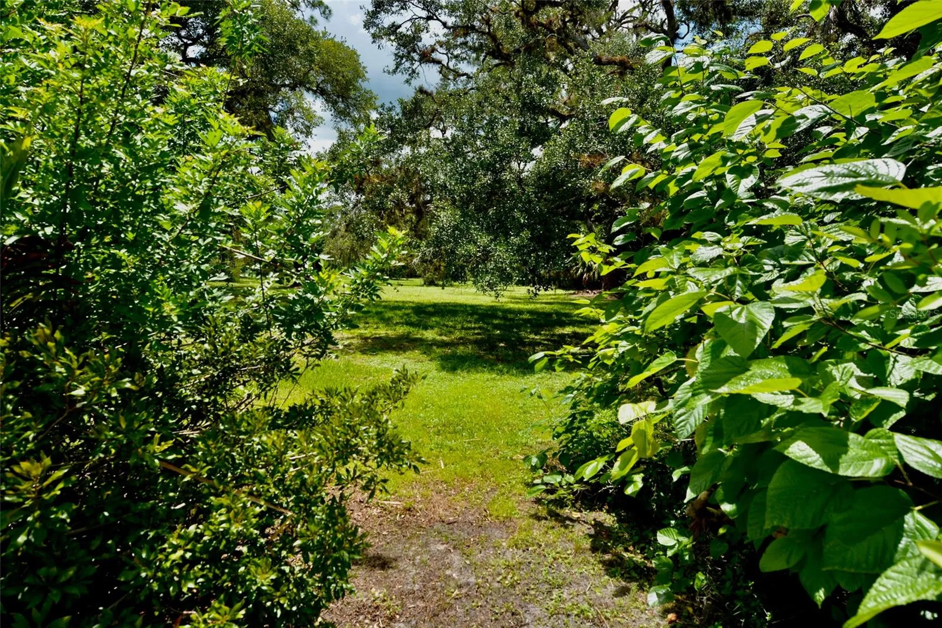 18220 Elmwood Drive Alva FL 33920