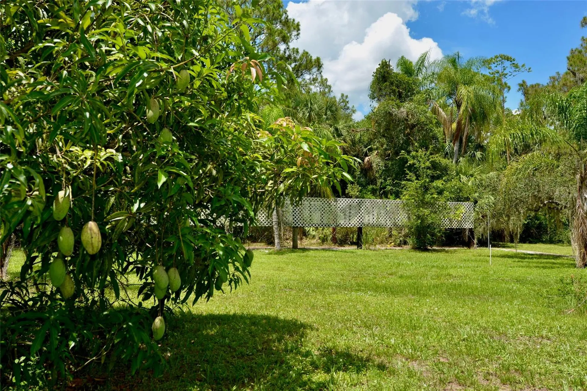 18220 Elmwood Drive Alva FL 33920
