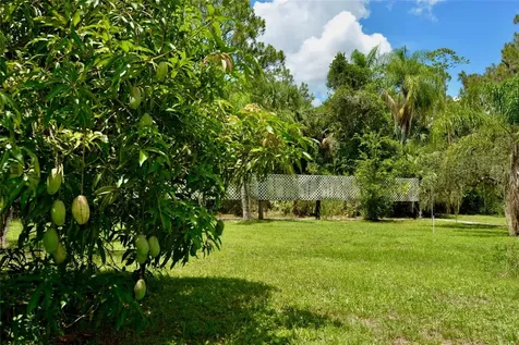 18220 Elmwood Drive Alva FL 33920