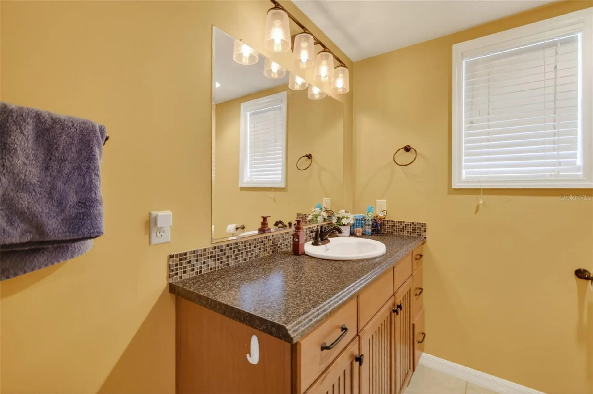 5713 Lake Street Mount Dora FL 32757