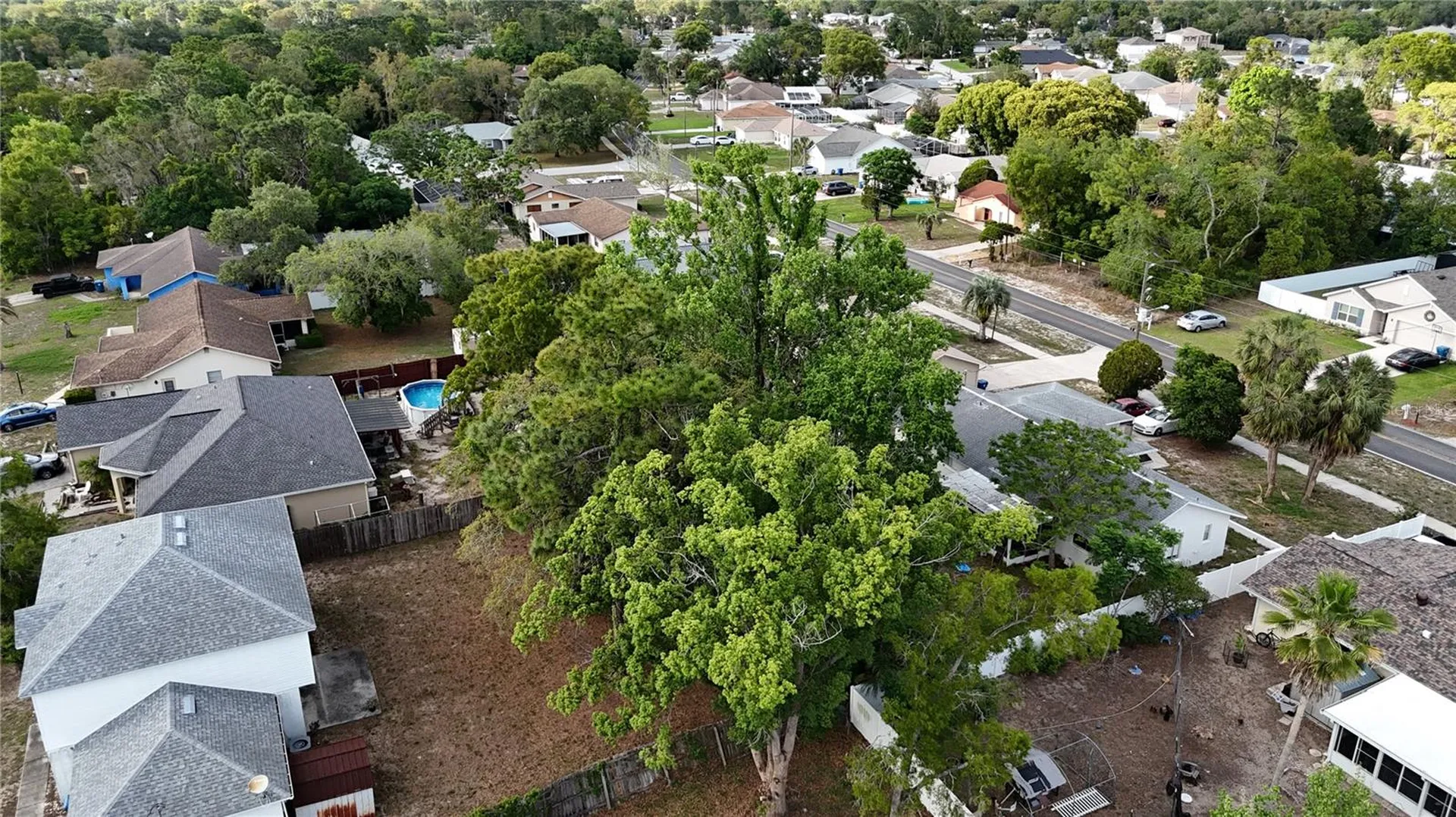 5046 Kenmore Street Spring Hill FL 34608