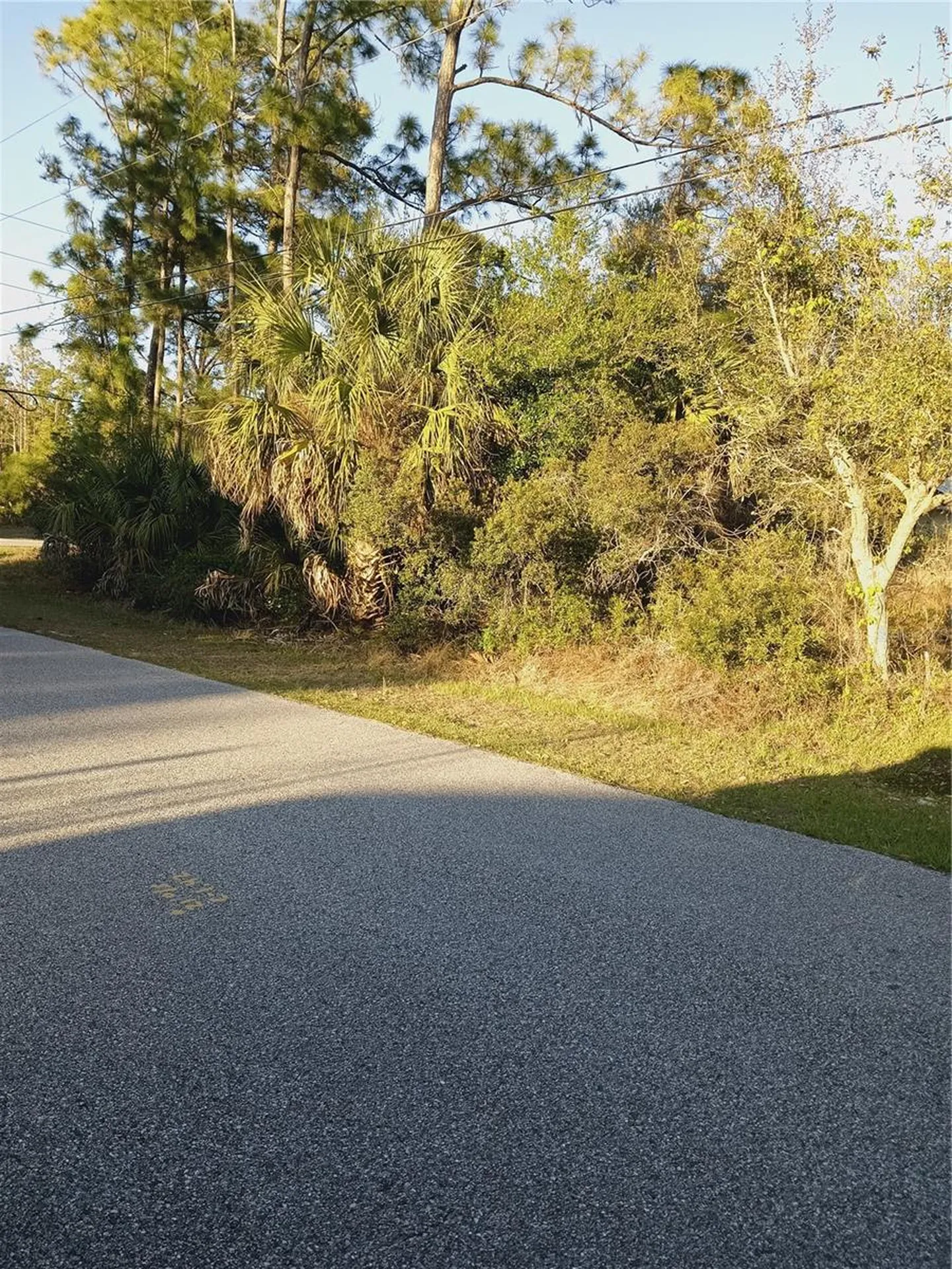 Lot 1 Tropicaire Boulevard North Port FL 34291