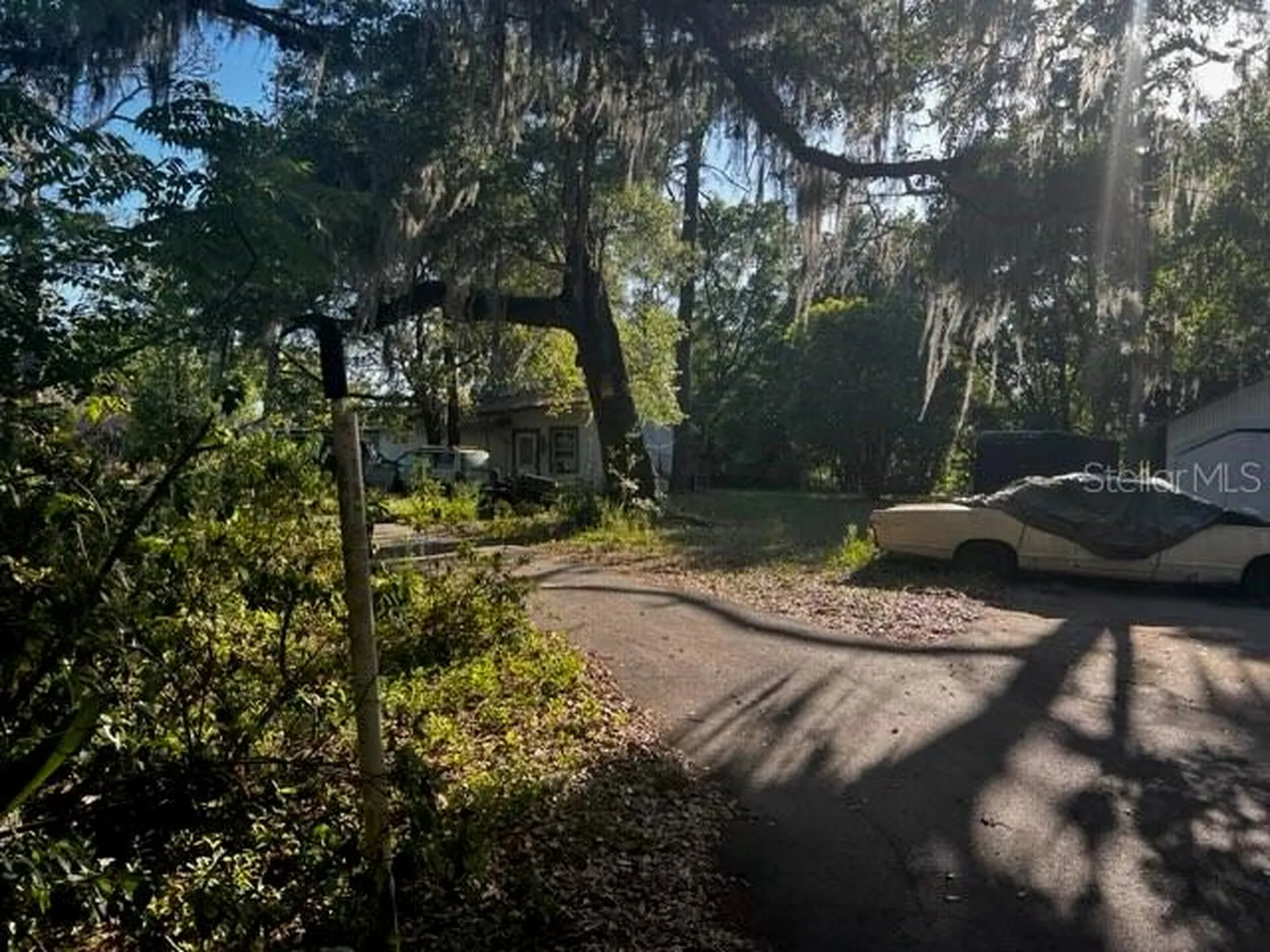 Dade City FL 33523