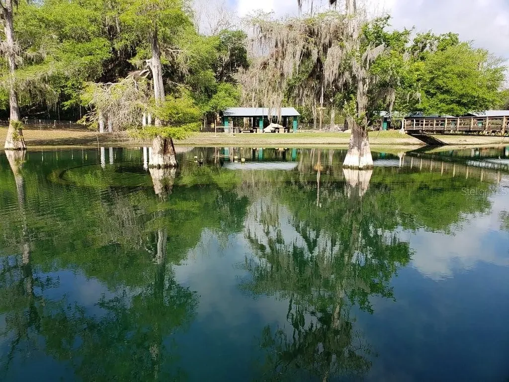 9061 Katherine Way Fanning Springs FL 32693