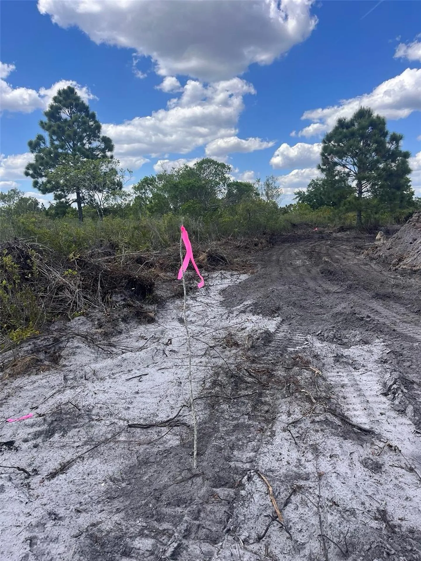 16219 NW 282nd Street Okeechobee FL 34972