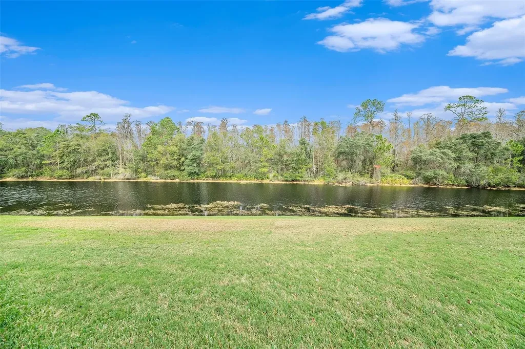 8478 Dunham Station Drive Tampa FL 33647