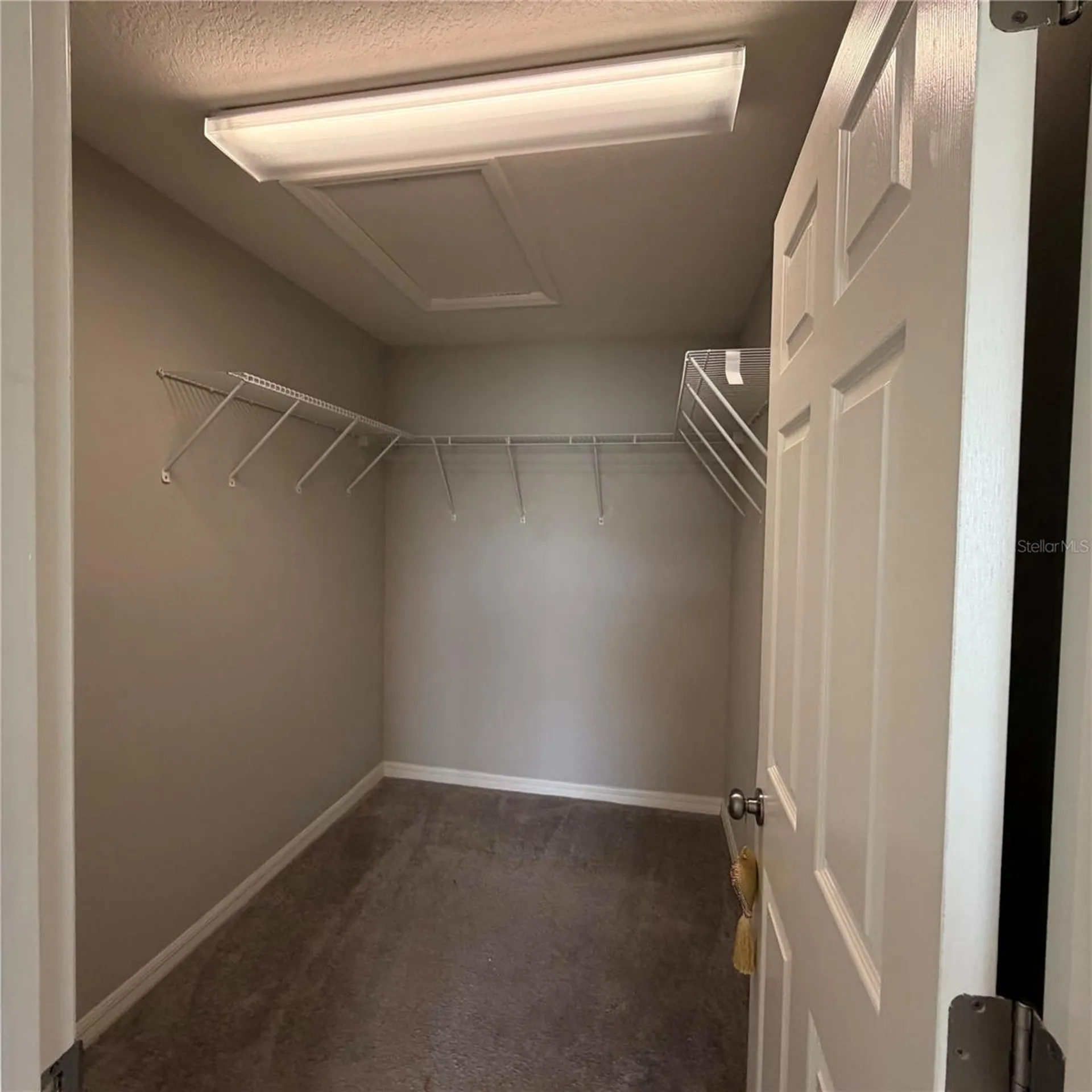 7102 Summer Holly Riverview FL 33578