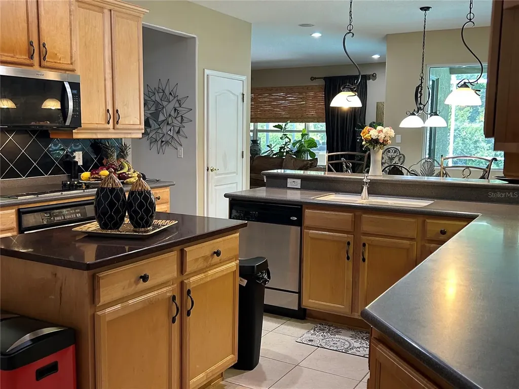 26612 Shoregrass Drive Wesley Chapel FL 33544
