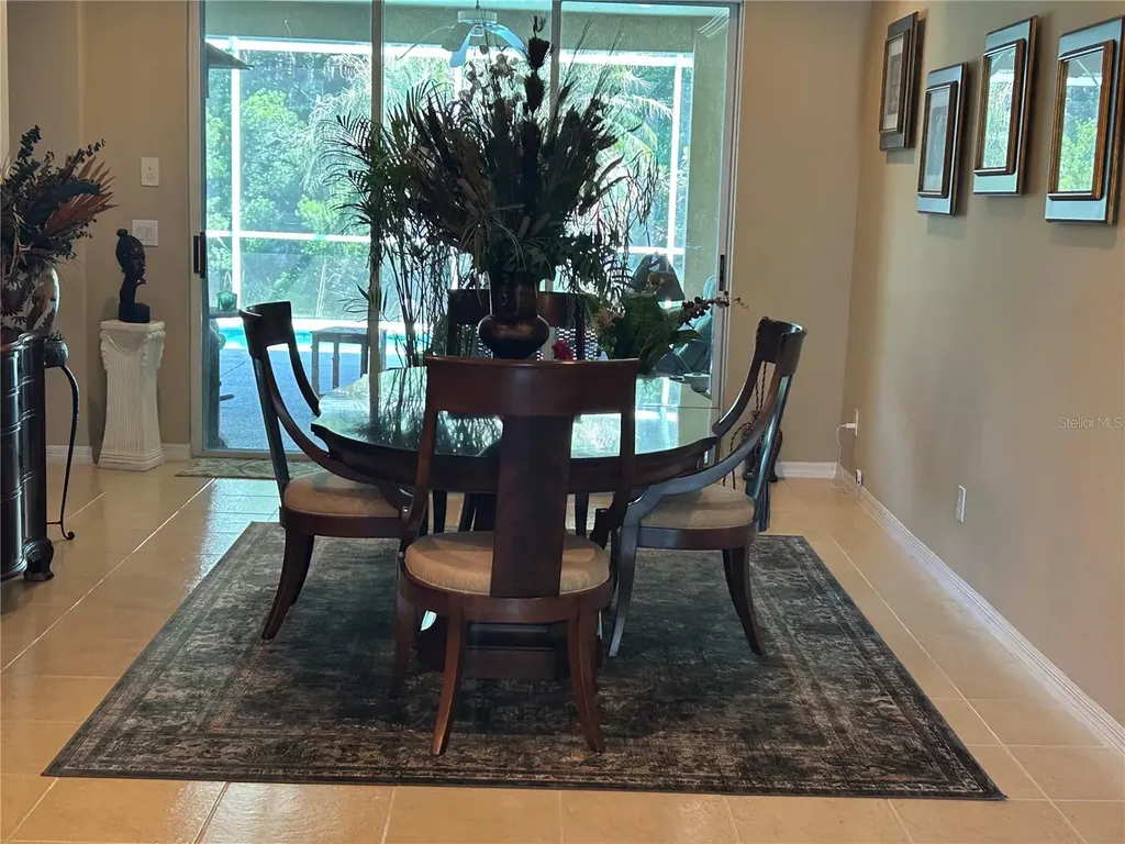 26612 Shoregrass Drive Wesley Chapel FL 33544