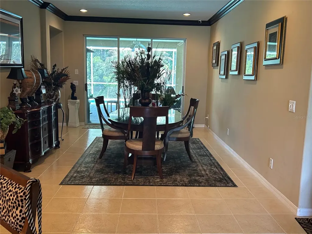 26612 Shoregrass Drive Wesley Chapel FL 33544