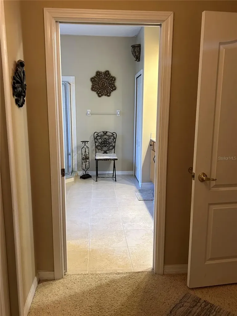 26612 Shoregrass Drive Wesley Chapel FL 33544