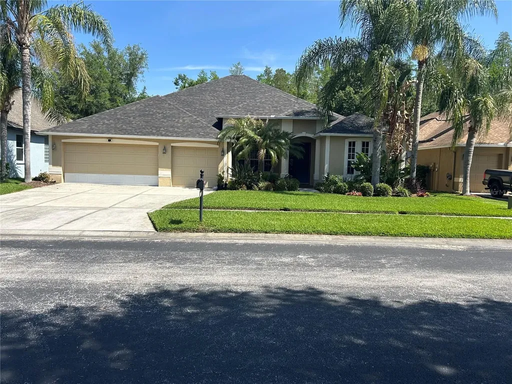 26612 Shoregrass Drive Wesley Chapel FL 33544