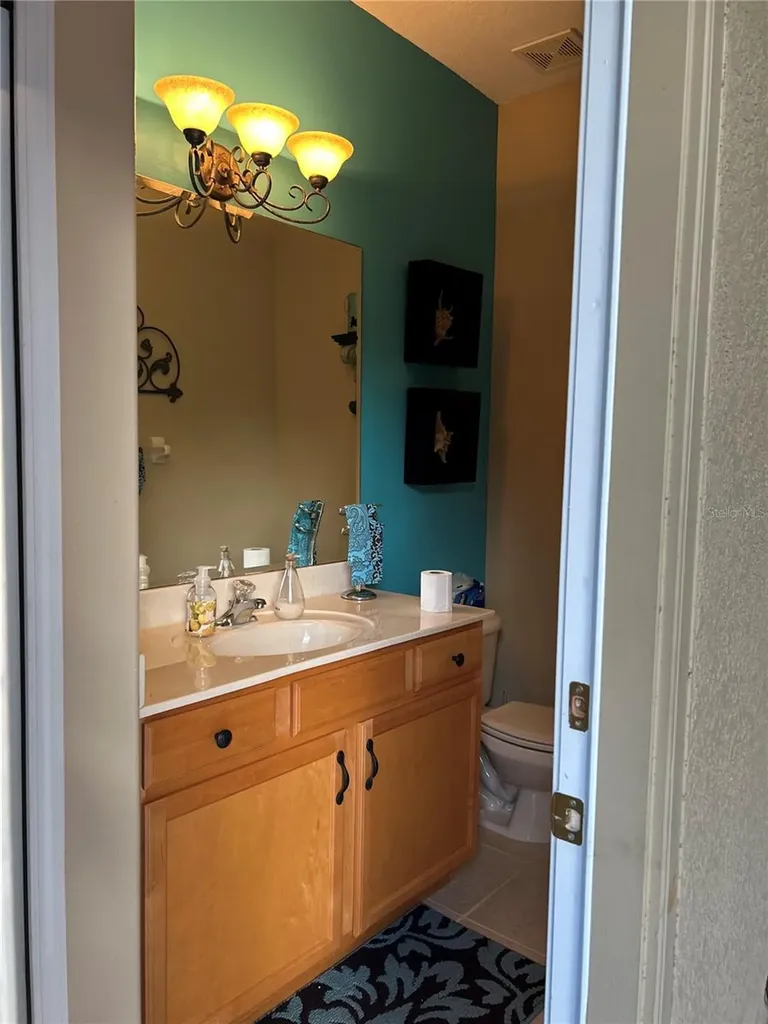 26612 Shoregrass Drive Wesley Chapel FL 33544