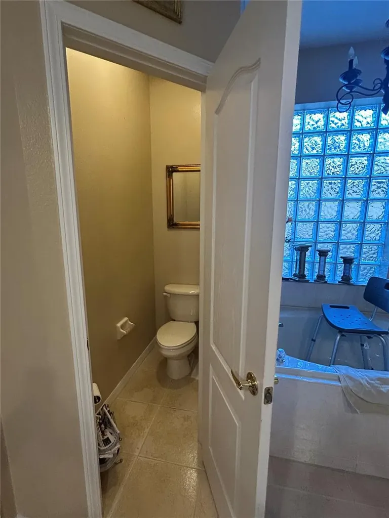 26612 Shoregrass Drive Wesley Chapel FL 33544