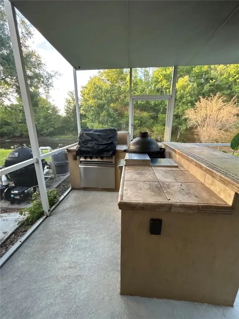 26612 Shoregrass Drive Wesley Chapel FL 33544