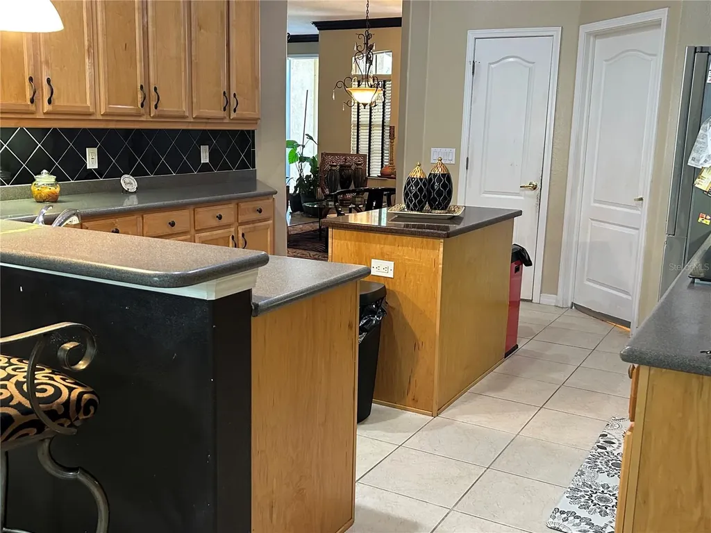 26612 Shoregrass Drive Wesley Chapel FL 33544