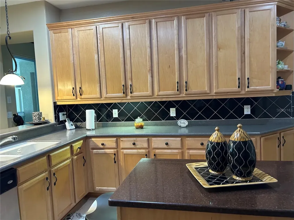 26612 Shoregrass Drive Wesley Chapel FL 33544