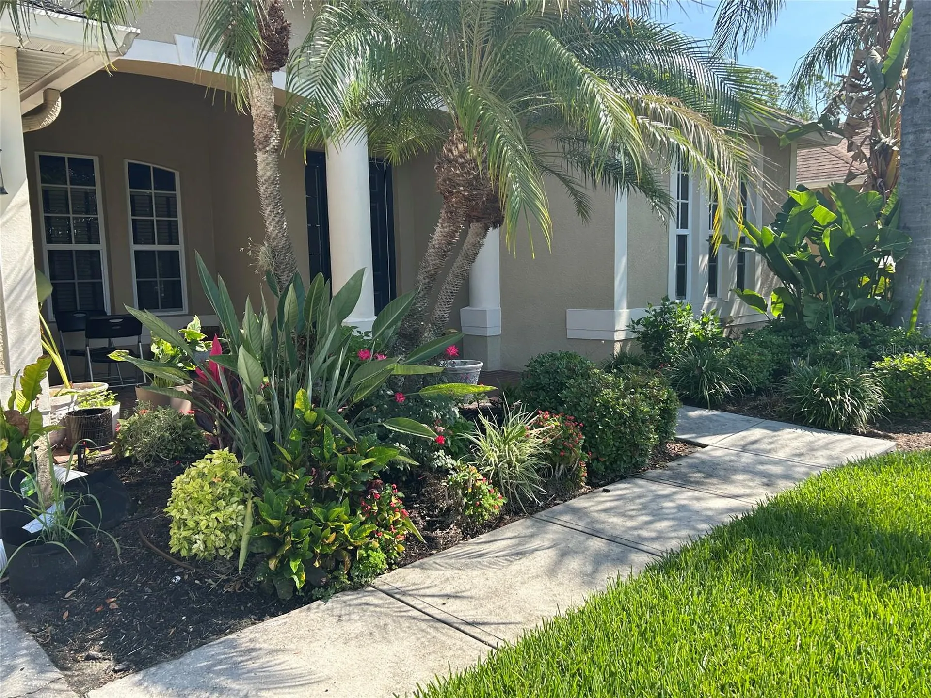 26612 Shoregrass Drive Wesley Chapel FL 33544