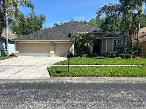 26612 Shoregrass Drive Wesley Chapel FL 33544