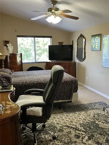 26612 Shoregrass Drive Wesley Chapel FL 33544