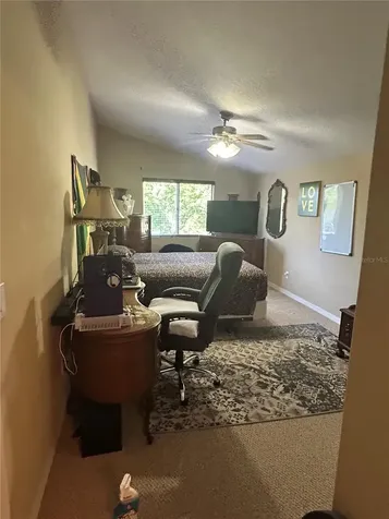 26612 Shoregrass Drive Wesley Chapel FL 33544