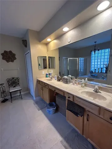 26612 Shoregrass Drive Wesley Chapel FL 33544
