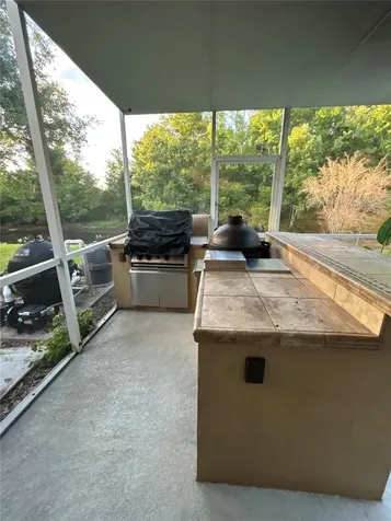 26612 Shoregrass Drive Wesley Chapel FL 33544