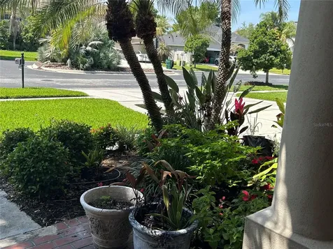 26612 Shoregrass Drive Wesley Chapel FL 33544