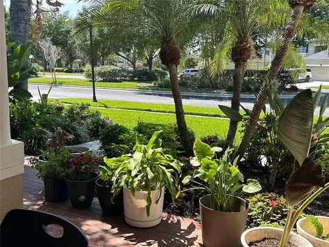 26612 Shoregrass Drive Wesley Chapel FL 33544