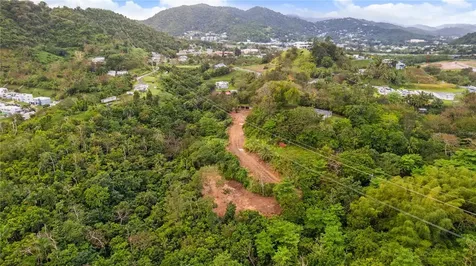 PR-796, Rio Cañas Ward Caguas PR 00725