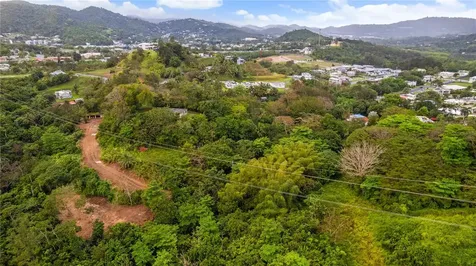 PR-796, Rio Cañas Ward Caguas PR 00725