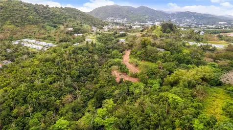 PR-796, Rio Cañas Ward Caguas PR 00725