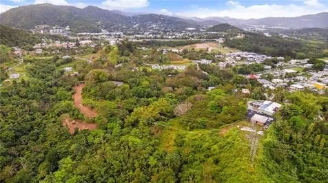 PR-796, Rio Cañas Ward Caguas PR 00725