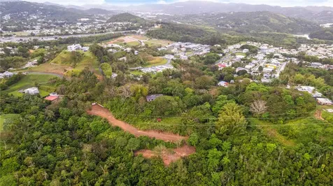 PR-796, Rio Cañas Ward Caguas PR 00725