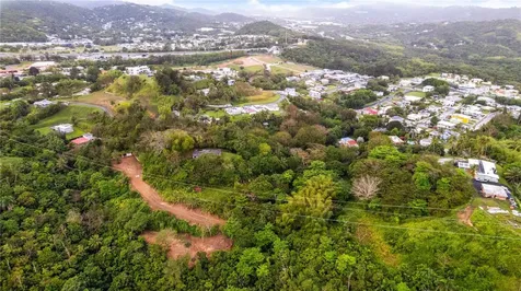 PR-796, Rio Cañas Ward Caguas PR 00725