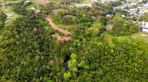 PR-796, Rio Cañas Ward Caguas PR 00725