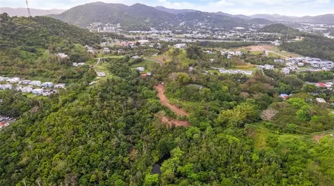 PR-796, Rio Cañas Ward Caguas PR 00725