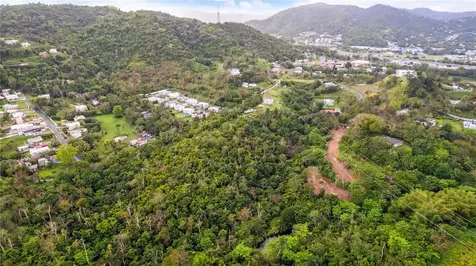 PR-796, Rio Cañas Ward Caguas PR 00725
