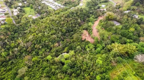 PR-796, Rio Cañas Ward Caguas PR 00725