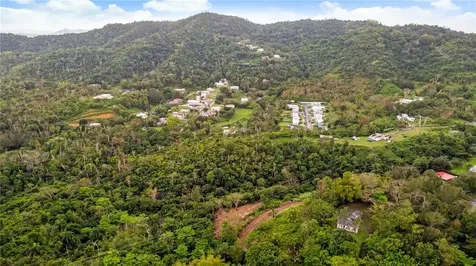 PR-796, Rio Cañas Ward Caguas PR 00725