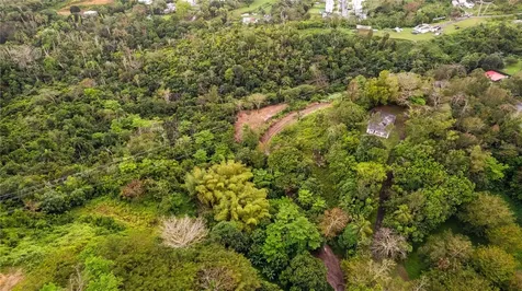 PR-796, Rio Cañas Ward Caguas PR 00725