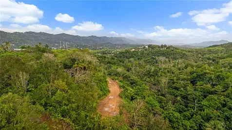 PR-796, Rio Cañas Ward Caguas PR 00725