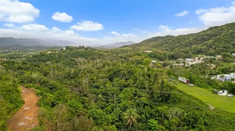 PR-796, Rio Cañas Ward Caguas PR 00725