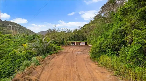 PR-796, Rio Cañas Ward Caguas PR 00725